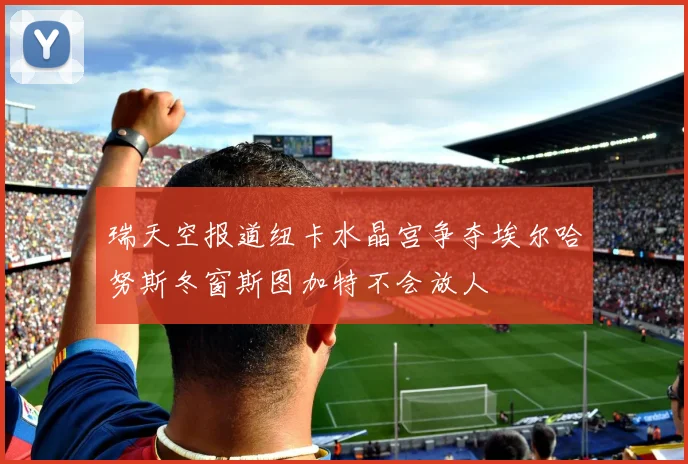 瑞天空报道纽卡水晶宫争夺埃尔哈努斯冬窗斯图加特不会放人